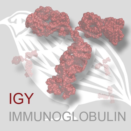 HBT_onlybird_fadegray_IgYImmunoglobublin_2